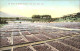 11705557 San_Jose_California Acres Of Drying Prunes - Autres & Non Classés