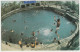 BAHRAIN Adhari Swimming Pool Amusement Park Postcard 1980 VICTORIA AUSTRALIA Pmk & Bird Stamp - Bahrain