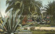 11705024 Los_Angeles_California Palms And Century Plants - Sonstige & Ohne Zuordnung