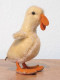 Peluche 131_ Canard, Ente, Duck, Eend -poussin-canneton_steiff - Steiff Animals