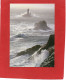 29----TEMPETE SUR LA POINTE DU RAZ---voir 2 Scans - La Pointe Du Raz