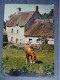 PRINTEMPS EN BRETAGNE - Paarden