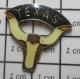 718B Pin's Pins / Beau Et Rare / ANIMAUX / TETE DE VACHE LONGHORN TEXAS USA - Animales