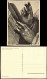 Tilman Riemenschneider: Hände V.. Evang. Johannes Max-Baur-Bildkarte 1960 - Autres & Non Classés