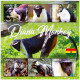 Ghana 3896/901 Et Bf 591 Singes Diana - Monkeys