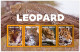 Ghana 3902/05 Et Bf 592 Léopard - Big Cats (cats Of Prey)