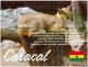 Ghana 3929/34 Et Bf 598 Caracal - Big Cats (cats Of Prey)