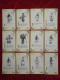 China Phone Cards 24 National Singing Nishang Phone Cards - Cina