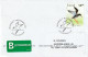 IJsland 2002, Letter Sent To Netherland, Birds - Franking Machines (EMA)