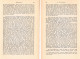 Delcampe - A102 1478 Bidermann Hochpustertal Pustertal Sexten Prags Artikel 1887 - Andere & Zonder Classificatie