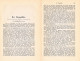 A102 1486 Carl Wolf Burggräfler Burggrafenamt Meran Artikel 1888 - Sonstige & Ohne Zuordnung