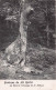 LA ROCHE  En ARDENNE - Le Christ A L'Emitage De St Thibaut - La-Roche-en-Ardenne