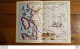 BELLE CARTE GEOGRAPHIQUE LE PAYS D'AUNIS VOIR LES 2 SCANS ET PHOTOS TOURISTIQUES 36X27CM - Geographical Maps