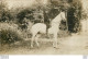 MAILLY LE CAMP CARTE PHOTO SOLDAT A CHEVAL - Mailly-le-Camp