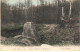 92 MEUDON AP#DC965 LE BOIS DE MEUDON MENHIRS - Meudon