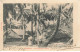 POLYNESIE #FG55153 BORABORA CASES INDIGENES A VAITAPE - Polynésie Française