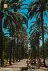 Espagne - Espana - Andalucia - Malaga - Parque - Paseo De Palmeras - Parc - Promenade De Palmiers - Anes - Espana - CPM  - Malaga