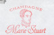 Meter Cover France 2003 Champagne - Marie Stuart - Wijn & Sterke Drank