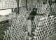 60s REAL PHOTO POSTCARD SIZE FOTO KITCHEN POTS SAUCEPOTS WAREHOUSE ARMAZEM PANELAS INOX ANGOLA  AFRICA AFRIQUE AT111 - Afrique