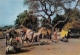 NIGER Scène Villageoise  N° 34   \ML4027 - Niger