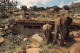 KENYA Voi Safari Lodge éléphant (Scans R/V) N° 32 \ML4039 - Kenya