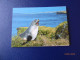 Cartes Postales Antarctique - Colecciones & Series