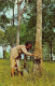 Malaysia - Malayan Woman Tapping Rubber - Publ. Max H. Hilckes 101 - Malesia