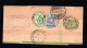 RUSSIA - 1902 - WRAPPER WITH  ATTRACTIVE FRANKINGS - Covers & Documents