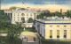 11694059 Washington DC White House Executive Offices Flag  - Washington DC