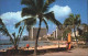 11693844 Waikiki Beach Palm Trees - Other & Unclassified