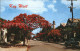 11693227 Key_West Simonton Street Lighthouse - Other & Unclassified