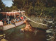 11692617 Disneyland_Orlando The Explorer Boat Hippo Rivers Of The World Nilpferd - Altri & Non Classificati