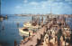 11690278 Key_West Shrimp Boats Harbor - Sonstige & Ohne Zuordnung