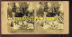PHOTO STEREO - SCENE CHAMPETRE - FORMAT 17 X 8.5 CM  - Stereo-Photographie