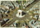 CPSM Paris-L'Arc De Triomphe      L2900 - Triumphbogen