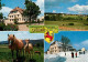 73323388 Faulenfuerst Gasthaus Zum Roessle Pferde Landschaftspanorama Faulenfuer - Schluchsee