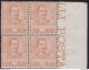1901 REGNO D'ITALIA - N° 72 Floreale 20 Cent. Arancio MNH/** OTTIMA CENTRATURA Certificato Diena (fotocopia) - Other & Unclassified