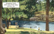11688488 Morrilton Swimming Pool Petit Jean State Park - Andere & Zonder Classificatie