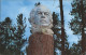 11686312 Custer_South_Dakota Crazy Horse Mountain Memorial - Sonstige & Ohne Zuordnung