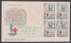 Inde India 1963 Used FDC Red Cross, Henri Dunant, FIrst Day Cover - Covers & Documents
