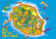 REU-ILE DE LA REUNION CARTE-N°C4120-D/0181 - Andere & Zonder Classificatie