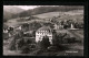 AK Schmitten I. Taunus, Blick Auf Das Parkhotel Wenzel  - Taunus