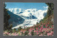 Alpenrosenfeld Am Morteratschgletscher Mit Piz Palu Und Bellavista Photo Carte Suisse Schweiz Htje - Pontresina