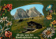 73311183 Pfronten Hochalphuette Mit Aggenstein Allgaeuer Alpen Blumen Pfronten - Pfronten
