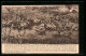 AK Waterloo, Panorama Der Schlacht Von Waterloo  - Guerres - Autres