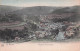LA ROCHE En ARDENNE -  Panorama Pris Du Dester - 1906 - La-Roche-en-Ardenne