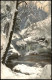 Ansichtskarte  Stimmungsbild Winter Eis Schnee Wald Photochromie 1912 - Zonder Classificatie
