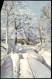 Ansichtskarte Rehefeld-Altenberg (Erzgebirge) Stimmungsbild Winter Schnee 1913 - Rehefeld