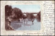 Postcard Melbourne At Heidelberg River Brigde 1904 - Melbourne