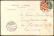 Postcard .Australien Australia   Botanical Garden 1905  Gel. V. Melbourne - Other & Unclassified